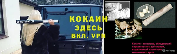 МДПВ Михайловск