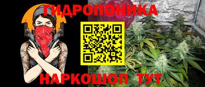 не бодяженный Гай
