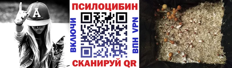 Галлюциногенные грибы Psilocybine cubensis  Зерноград 