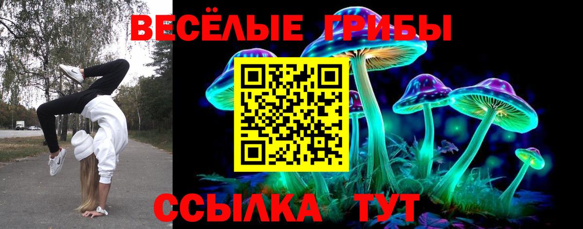 Галлюциногенные грибы Cubensis  Вход с VPN  Зерноград 