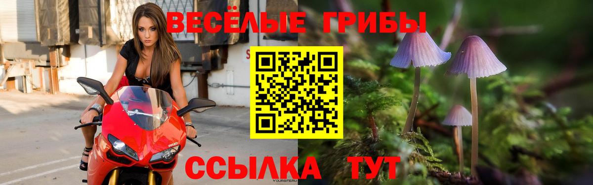 ГЕРОИН Зерноград